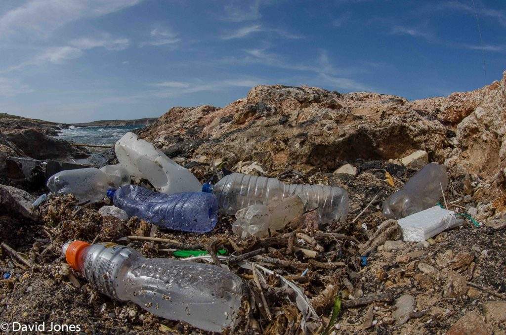Researchers from US and UK engineer plastic-eating enzyme