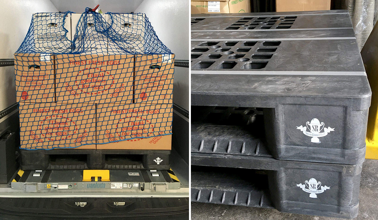 Steven Rimmer Eggs selects APB 1210 Pool Perforated 5R pallet