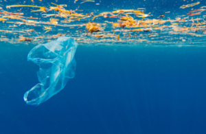 UK confirms plans to extend single-use plastic bag charge
