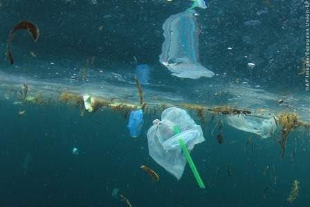 European Parliament votes to ban single-use plastic items