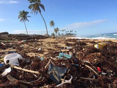 Circulate Capital expects to secure $90m funds to combat ocean plastic