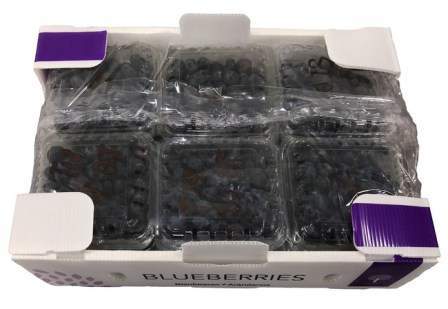 StePac introduces Xflow functional packaging for blueberries