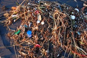 How to beat plastic pollution with technology, by SAP Leonardo boss Stephen Jamieson