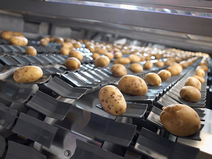 Jasa offers complete packaging solutions for potatoes