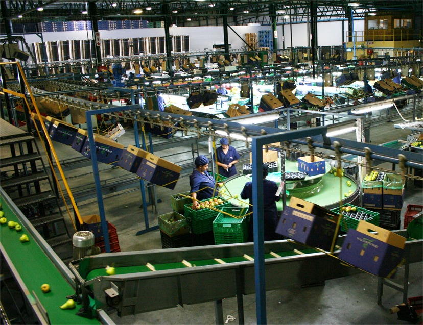 Packaging factory