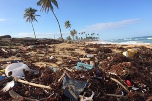 Three new nations join Clean Seas alliance to combat marine plastic pollution