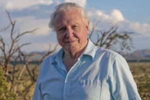 Sir David Attenborough documentaries are increasing awareness of climate change, says study