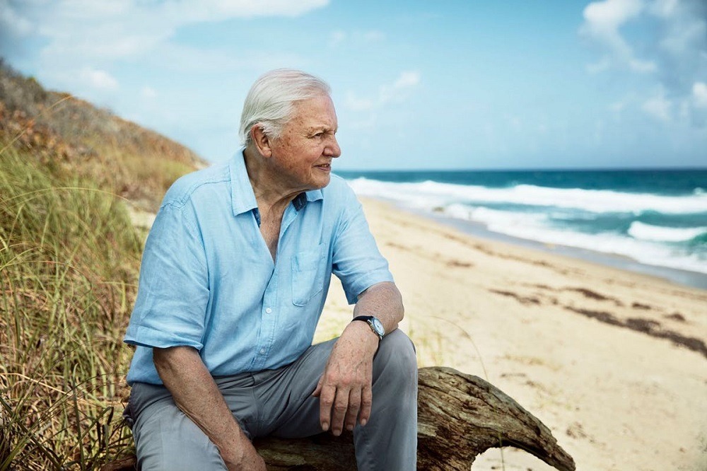 Sir David Attenborough, Attenborough climate change, Plastic waste deaths
