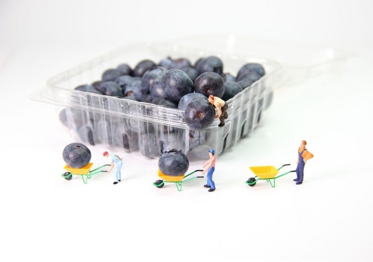 Blueberries in packaging