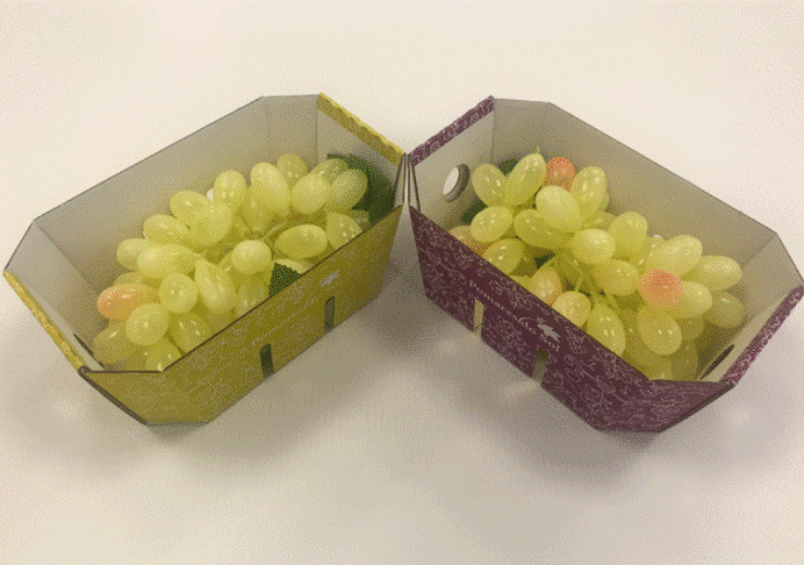 Grapes_Packaging