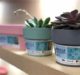 Braskem manufactures plant pots from plastic caps