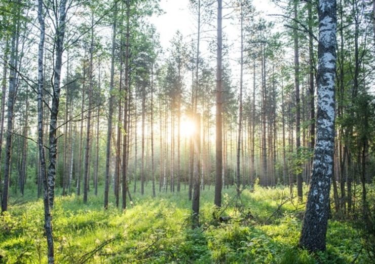 SBTi approves Metsä Board’s emissions reduction targets