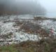 Sartorius signs European Plastics Pact to improve plastic recycling