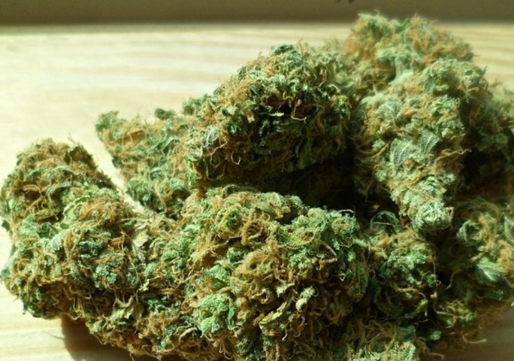 cannabisflower
