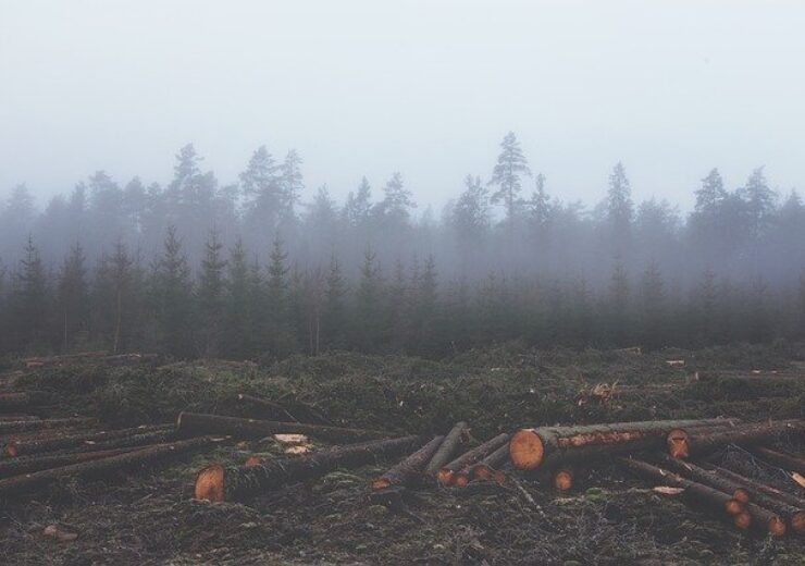 deforestation-351474_640