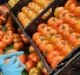 Agros Produce to use IFCO RPCs for packaging tomatoes