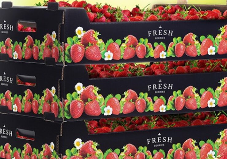 New corrugated berry packaging complements premium strawberries