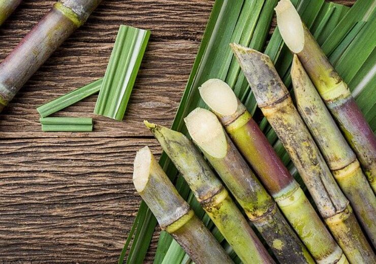 Green Goo launches natural toothpastes in eco-friendly sugarcane packaging