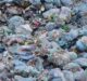 Agilyx and ExxonMobil establish Cyclyx joint venture to supply plastics recycling industry