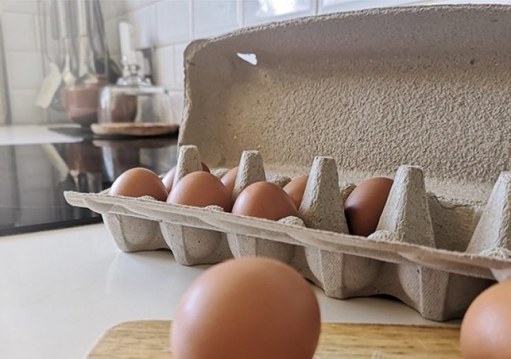 Huhtamaki launches new plastic-free moulded fibre egg carton Smilepack