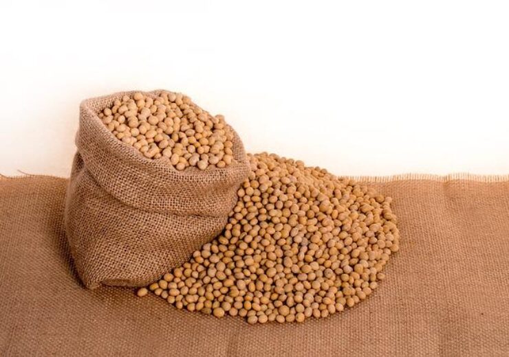 soybeans-g438c5dd5b_640